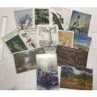 Открытки рождественские с животными Австралии винтажные ТОРГ