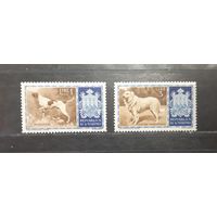 Сан Марино. Фауна. Собаки (656)