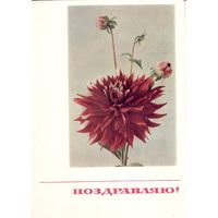 Подписанная открытка СССР. Матанов, Айзман. 1967