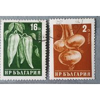 Болгария овощи 2шт