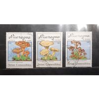 Никарагуа. 1990 год. Флора. Грибы (958)