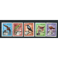 Сахара - 1993 - Фауна. Птицы - 5 марок. MNH.  (Лот 53Jp)-T4P26