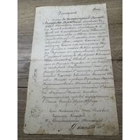 Свидетельство-метрика 1895г.