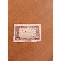 Французская колония Алжир фауна верблюд в пустыне (5-5)