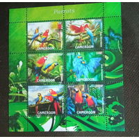 СЕРИЯ Блоков птицы  фауна MNH