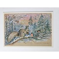 Манилова 1981 С новым годом