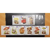 Парагвай. Флора. Грибы. 2 сцепки (9 марок) (985)