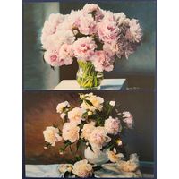 Пионы. Збигнев Копания. Россия.