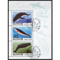 КНДР 1992. Фауна. Киты. Блок (3357)