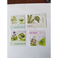 Беларусь  2025  4 м растения